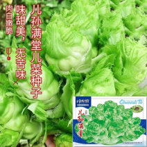 儿孙满堂四川儿菜种子早熟抱子芥娃娃菜胖儿子菜冬秋季庭院蔬菜子