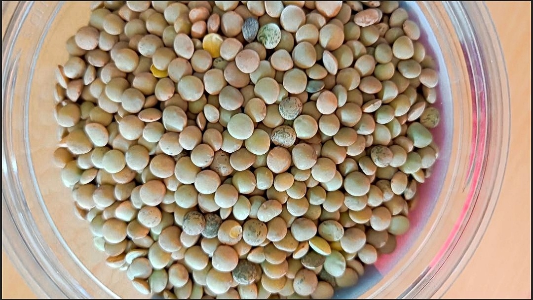 展示红扁豆与绿扁豆在不同菜肴中的使用方式,如炖菜、泥状食品等 红扁豆与绿扁豆的烹饪应用对比图