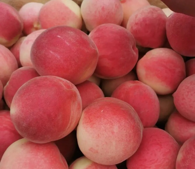 突围桃实物展示