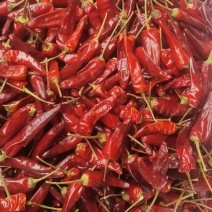 福建辣椒王，卤菜专用干辣椒保质保量规格齐全对接全国