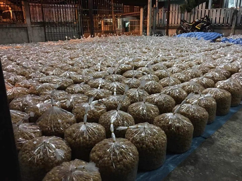 龙眼产业展示区