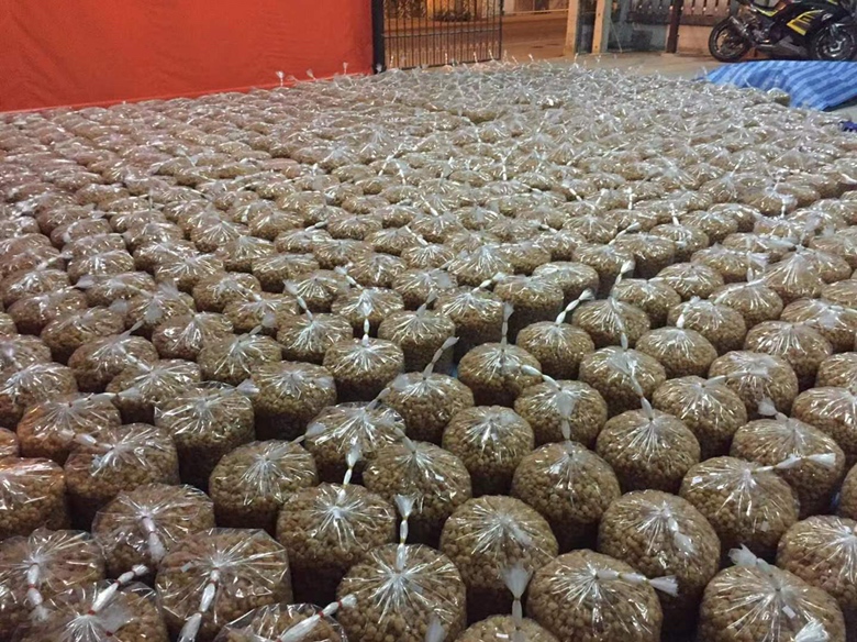 展示几种干桂圆保存的错误方式,如敞口塑料袋、阳光直射、放在潮湿环境中等 干桂圆保存误区