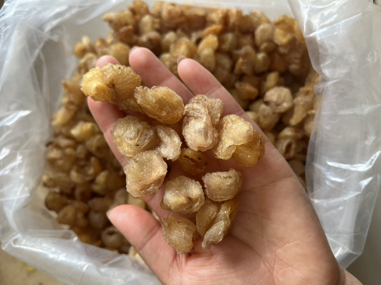 龙眼与桂圆的对比图