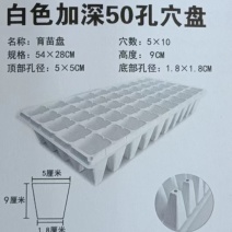 各种规格齐全