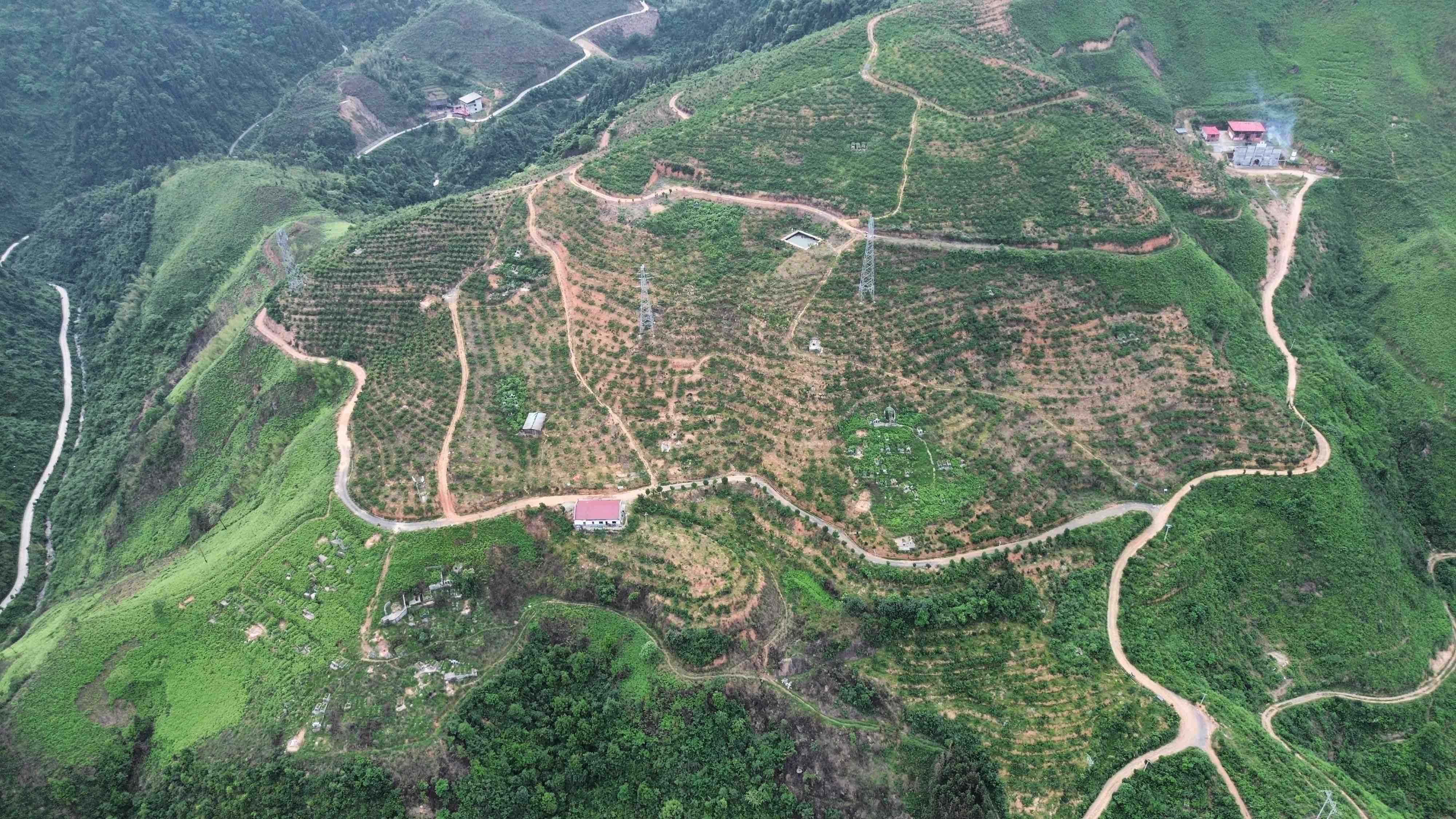 鲁山县冬桃种植基地航拍图