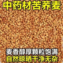苦荞茶四川大凉山黑珍珠罐装黑苦荞饭店用中药材