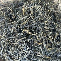 特级松针茶