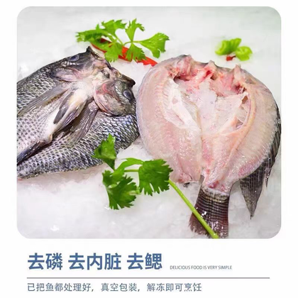 红罗非鱼多少钱一斤图片