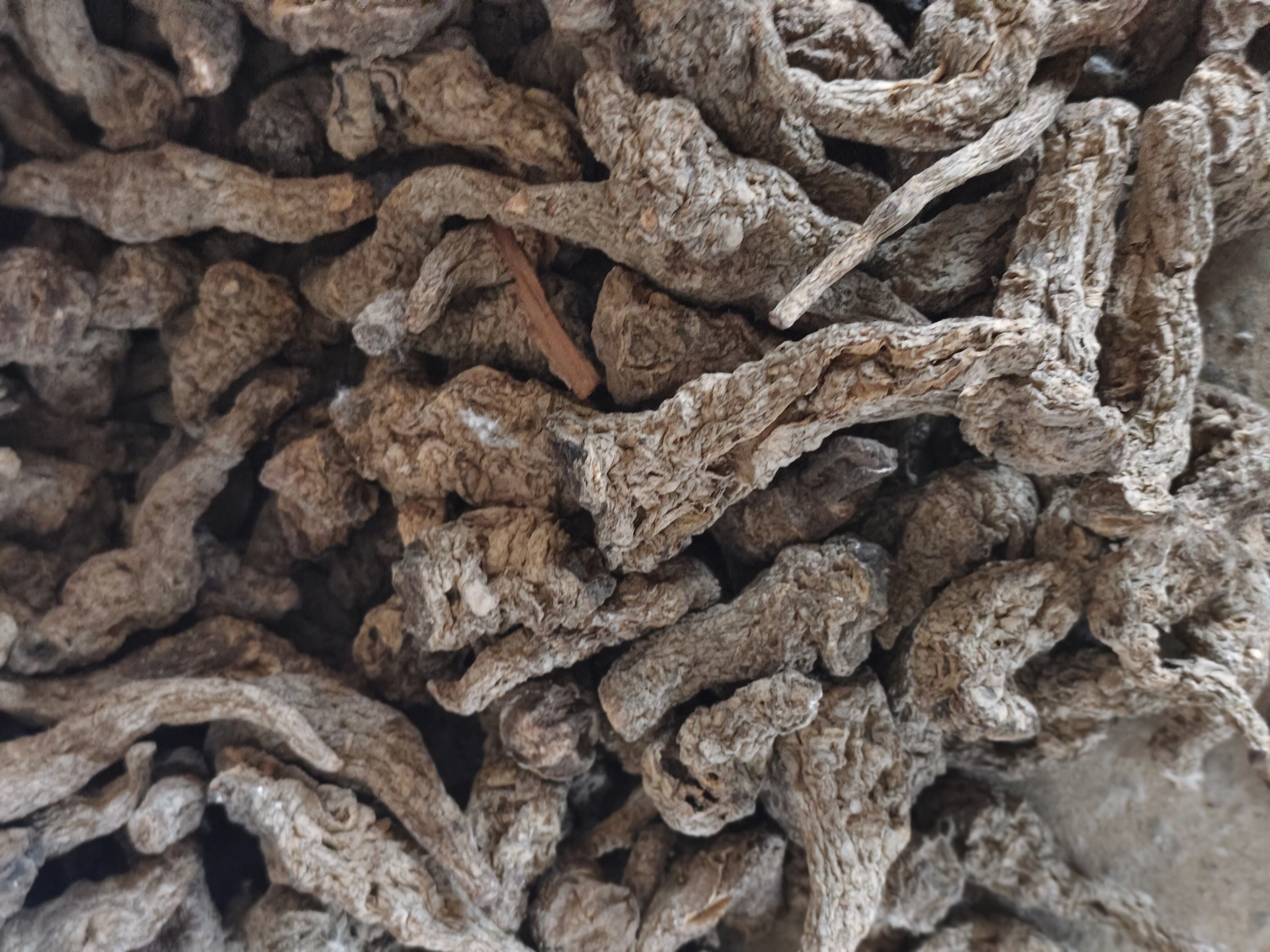 熟地黄药材展示图