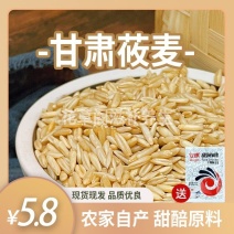 莜麦子甜胚子莜麦米甘肃特产会宁特产旱地莜麦甜醅子材料杂粮