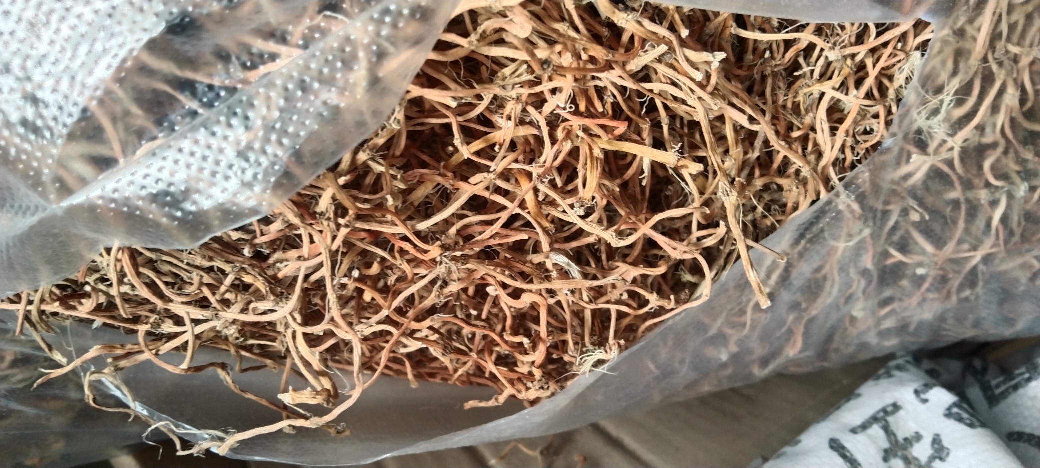 对比鱼腥草与其他植物的根部形态,帮助读者识别真伪 鱼腥草与常见混淆植物的对比图