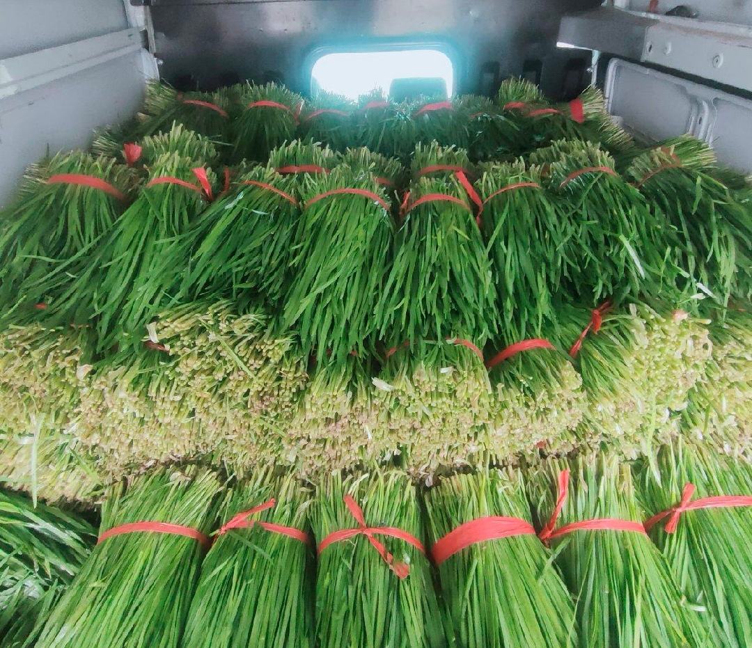 大叶韭菜在市场销售场景