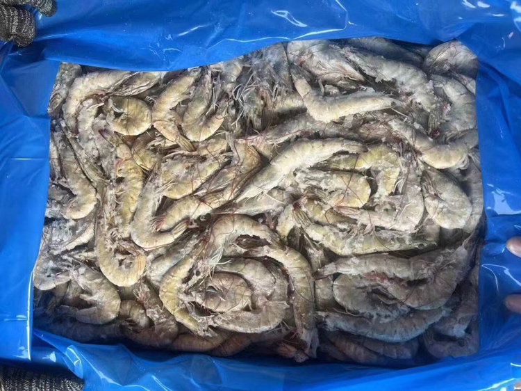 超市冷柜中整齐摆放的新鲜对虾包装盒