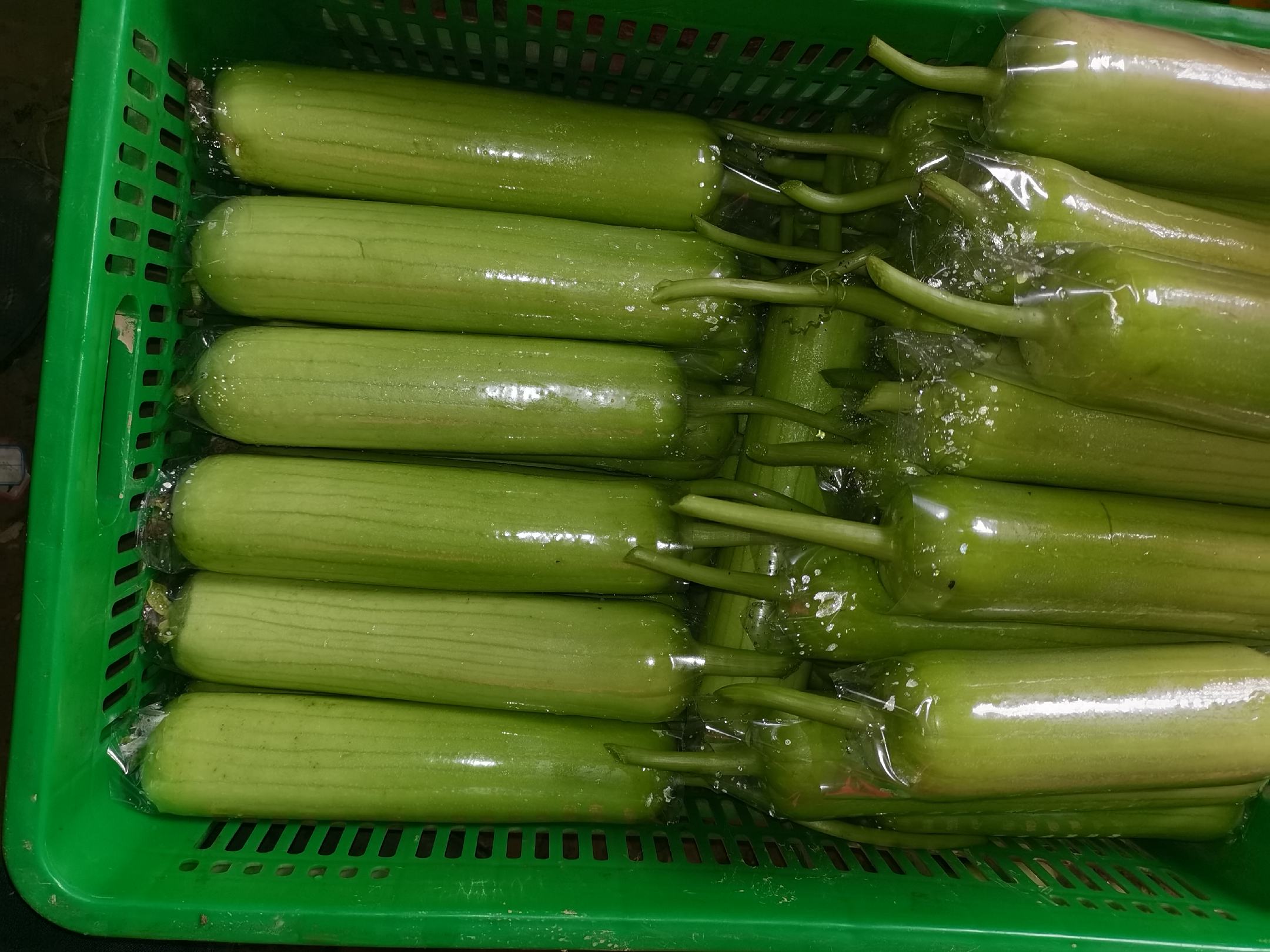 丝瓜豆角成品图