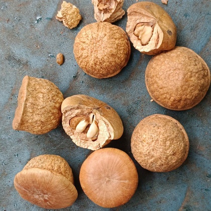 壮阳果价格行情