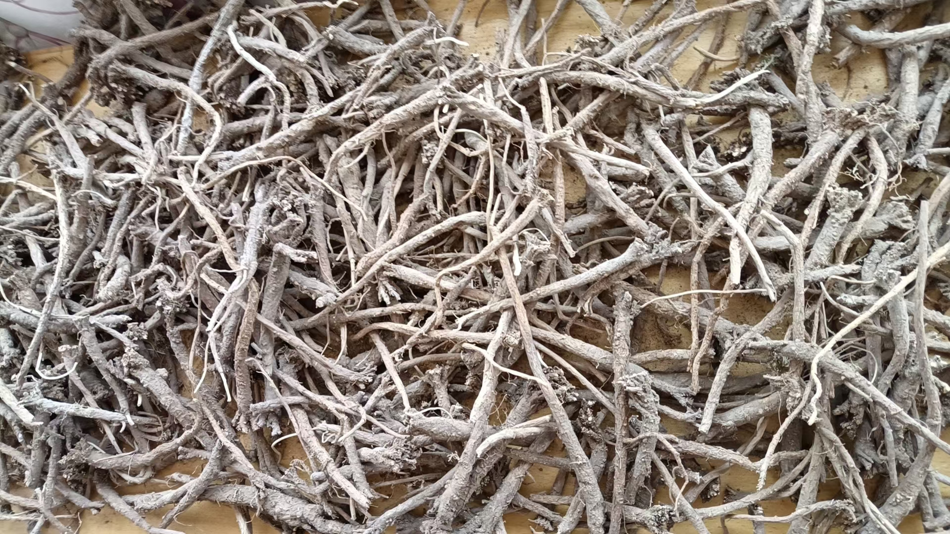 北柴胡与南柴胡在不同销售渠道中的市场份额分布,显示北柴胡在医疗机构中更受欢迎,南柴胡在零售市场占优 北柴胡与南柴胡市场销售对比图