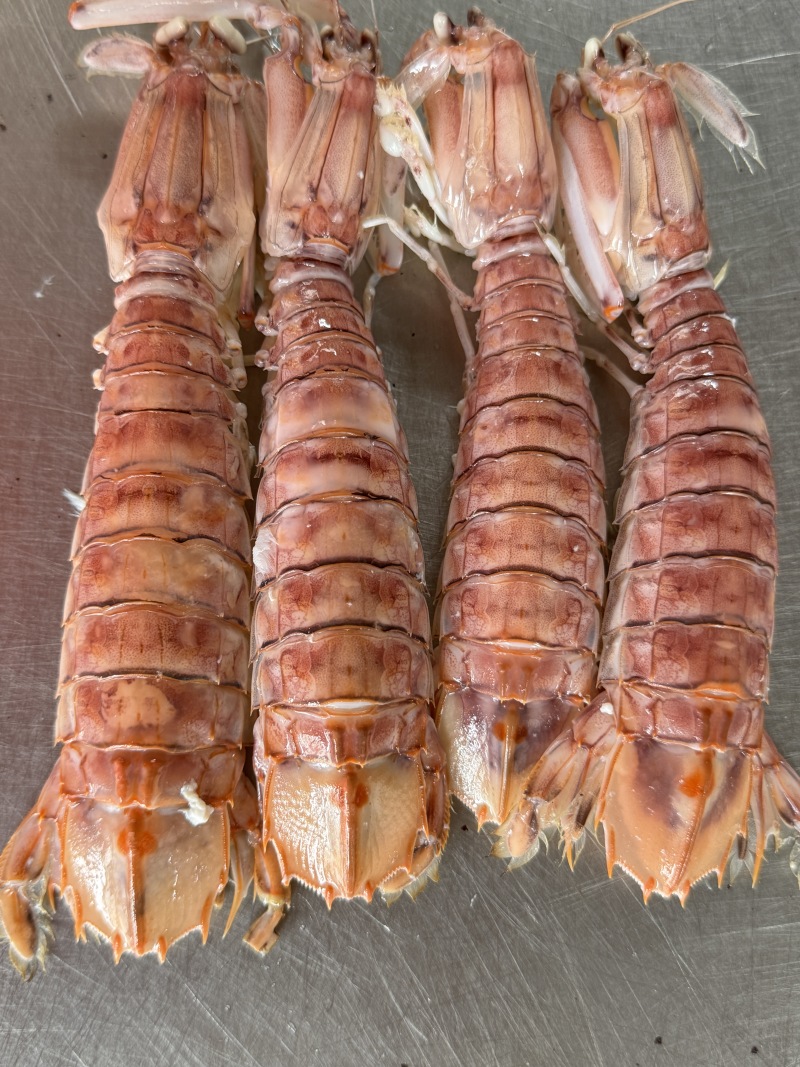 活煮皮皮虾,选用北部湾海域薄壳皮皮虾来活煮.