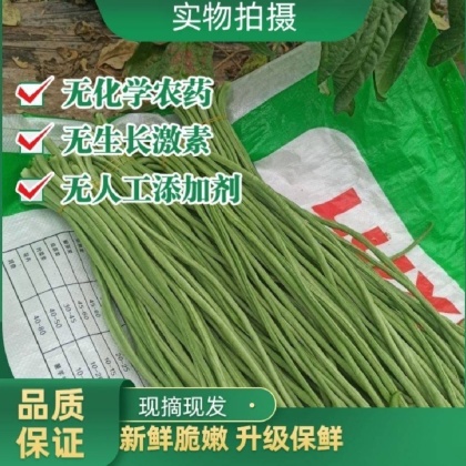 精选鲜豆角,长豆角,翠绿色,条子细,肉厚,量大.质量好.