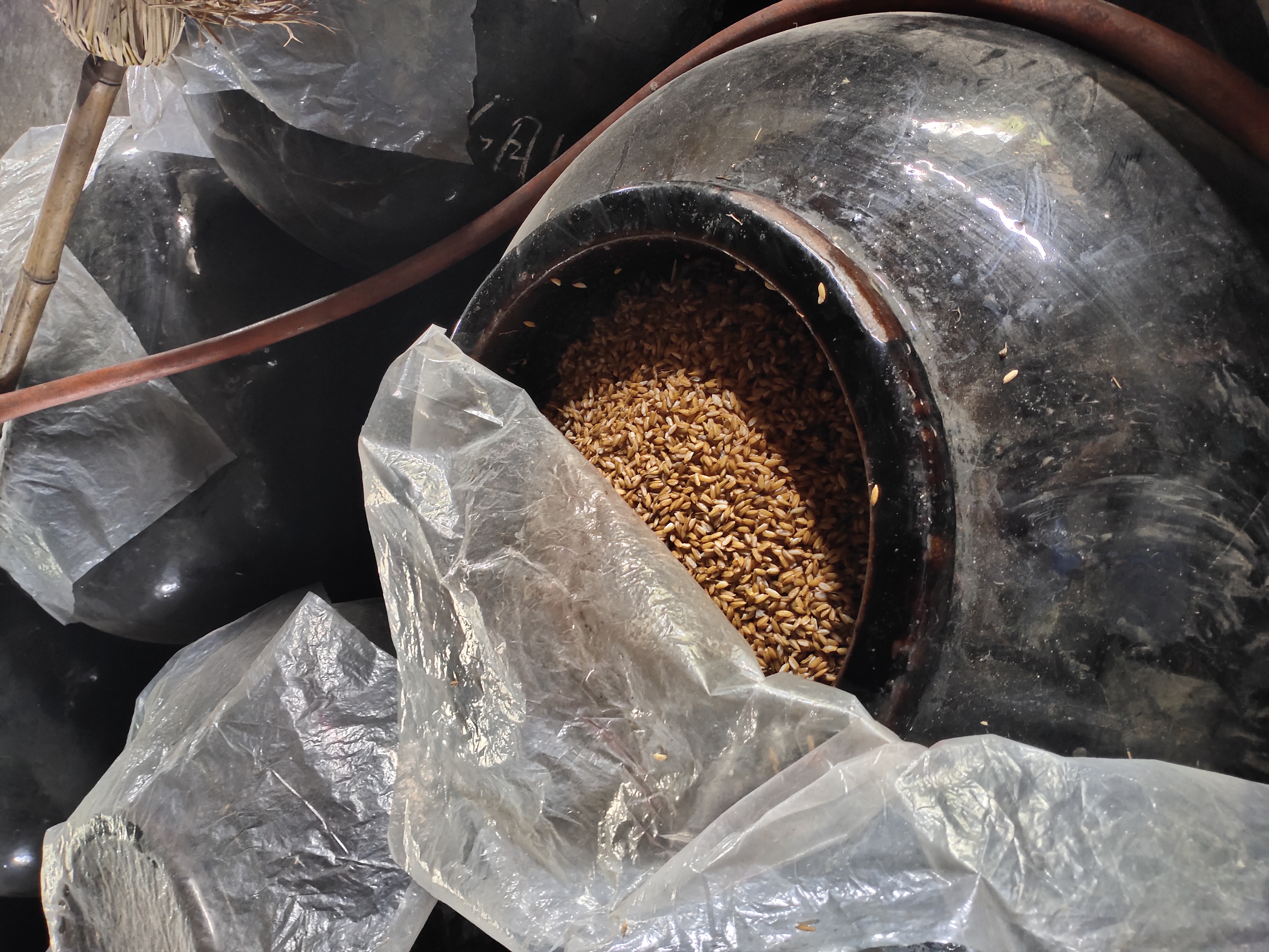 展示火龙果果酒在玻璃瓶中发酵过程中的状态变化 火龙果果酒发酵过程