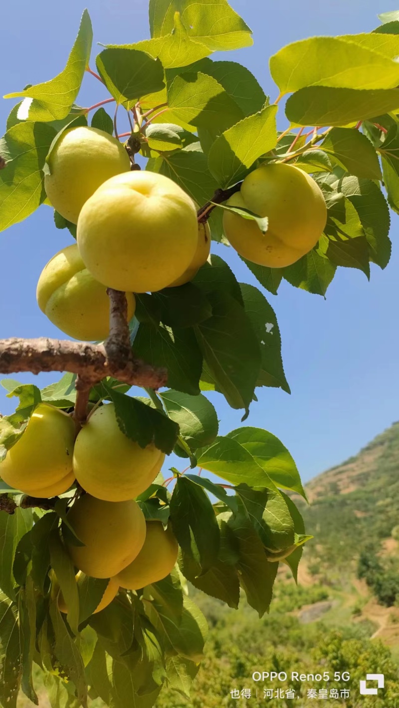 当前产地热卖产品