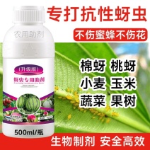 抗性蚜虫专用农用助剂蚜虫高活性正品杀虫抑卵桃蚜棉蚜黄蚜