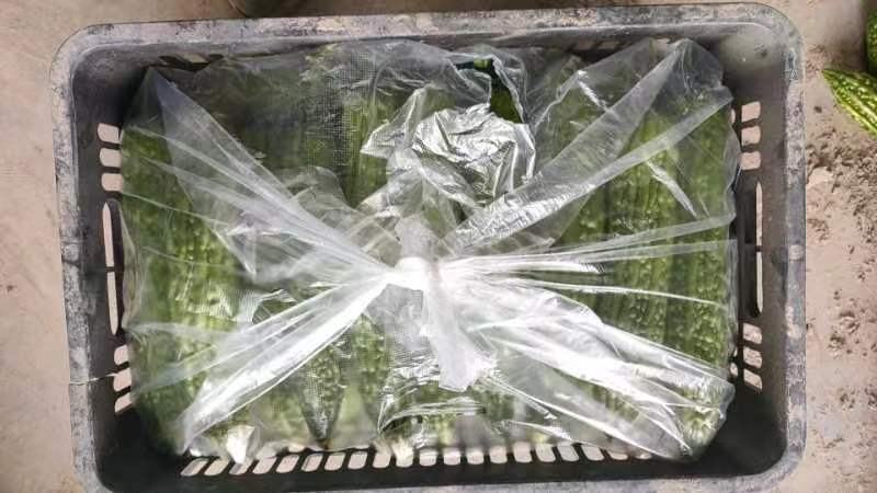 冰箱冷藏苦瓜示意图