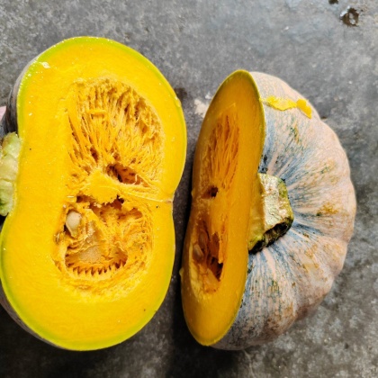 天津qq南瓜产地行情