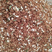 金龙茶，三合一，茉莉花甜叶菊桑枝片一手货原批发