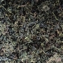 蒲公英茶叶