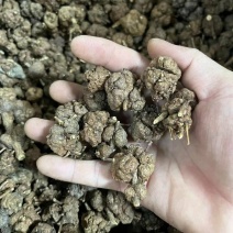 猫爪草中药材新货水洗猫爪草中草药包运费