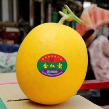 甘肃民勤金红宝蜜瓜，电商一件代发，全国包邮，品质保证