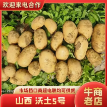 土豆沃土5号产地直发大量供货量大从优