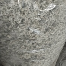 68一斤