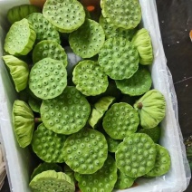 新鲜水果莲蓬