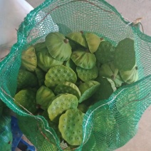 水果莲蓬