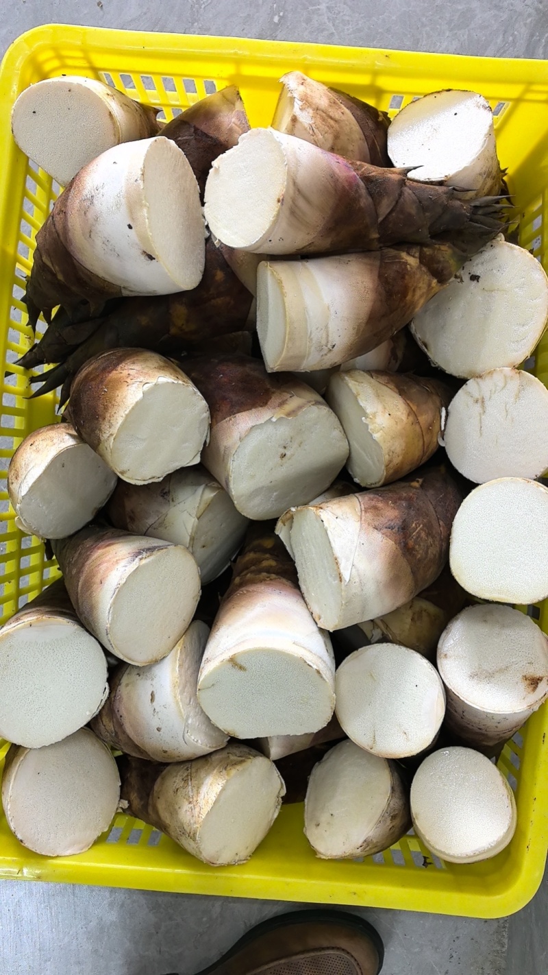 广西南宁青秀区竹笋 22.80元/斤甜龙笋