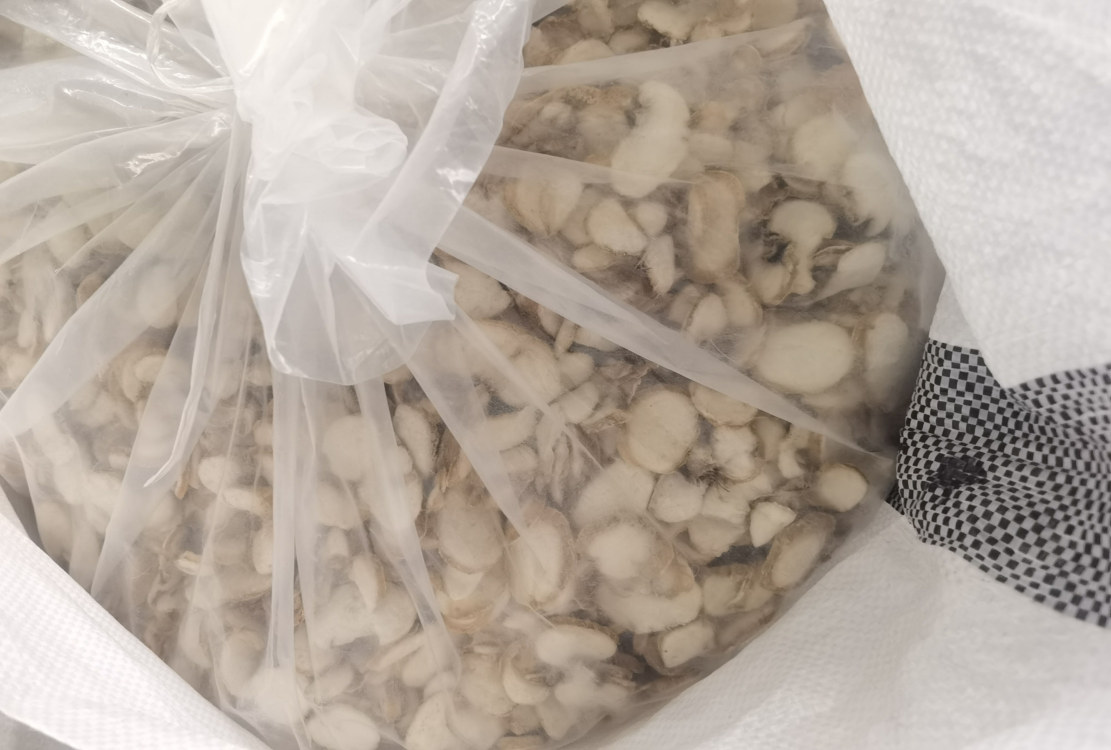 平贝母与浙贝母的现代研究应用场景