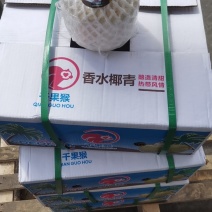 香水椰青