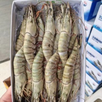 [好货推荐]精品海捕越南黑虎虾品质保障货源充足