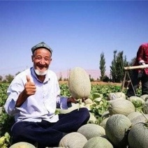 新疆哈密瓜小蜜25哈蜜瓜口感好糖度高日照充足可视频看货