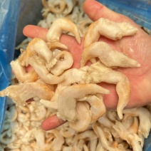鸟贝肉，现货，量大可议！欢迎各位选购