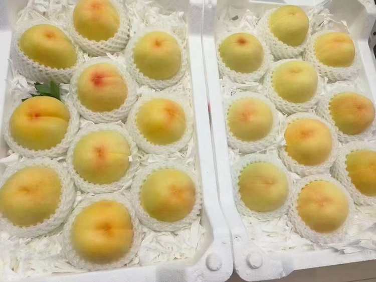 寒露蜜桃礼盒包装示意图,展示其作为高端礼品果的市场定位 寒露蜜桃礼盒包装示意图