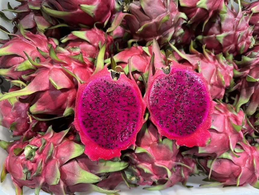 红心火龙果果实切开后的红色果肉特写,展示其鲜艳的颜色和细腻质地 红心火龙果果实特写