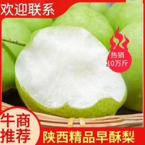 【精品】早酥梨青皮梨绿皮梨陕西蒲城发货皮薄脆甜无渣