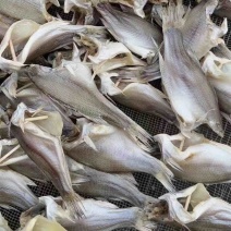 鲈鱼干地摊电商淡水鲈鱼干卢仔卢肉特大号鲈鱼干