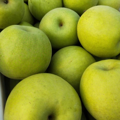 赵县翠冠梨产地行情