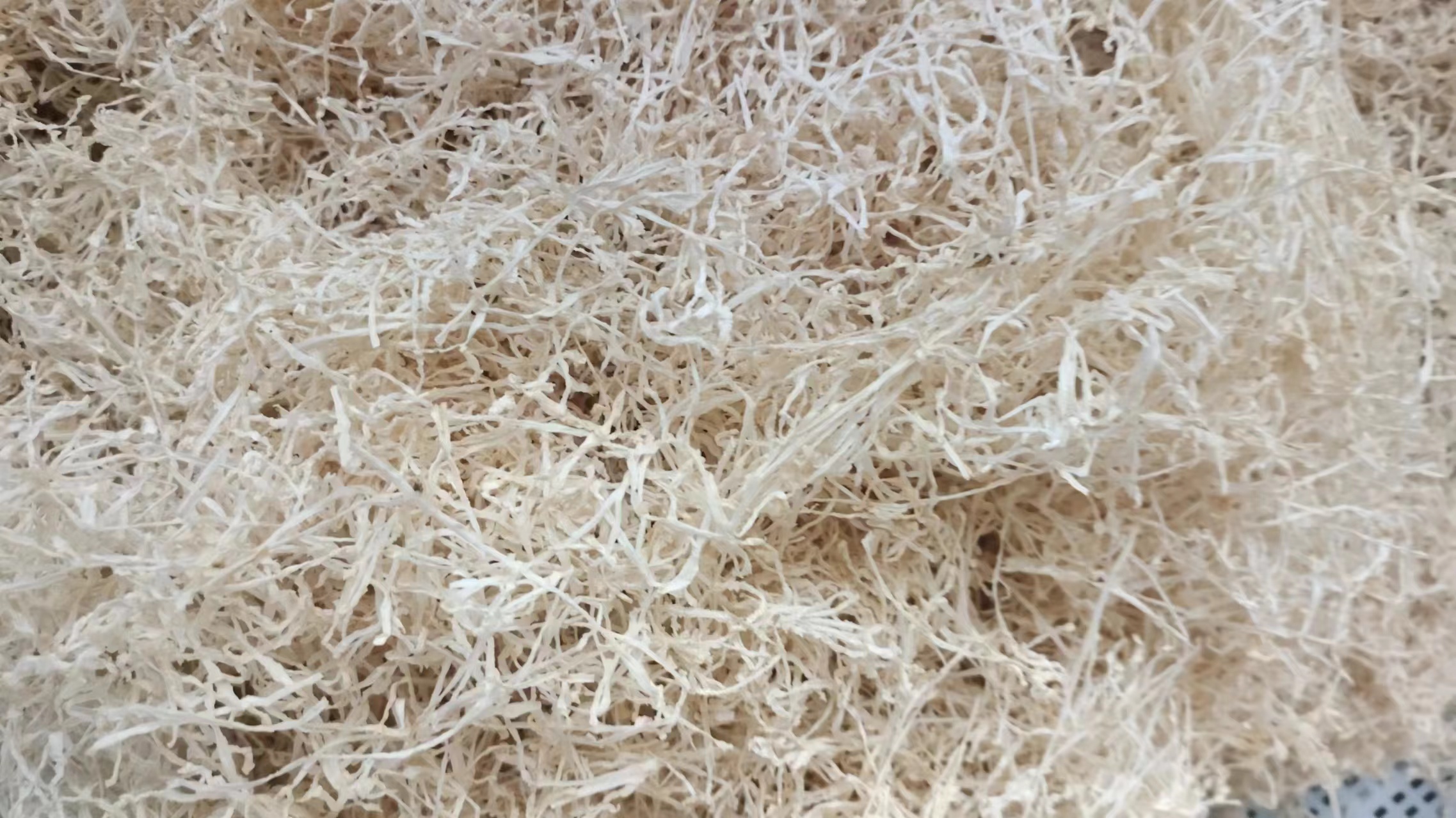 白萝卜干与青萝卜干对比图