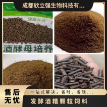 干白酒糟粉发酵酒糟颗粒浓香型酱香型酒糟粉颗粒源头实力厂家