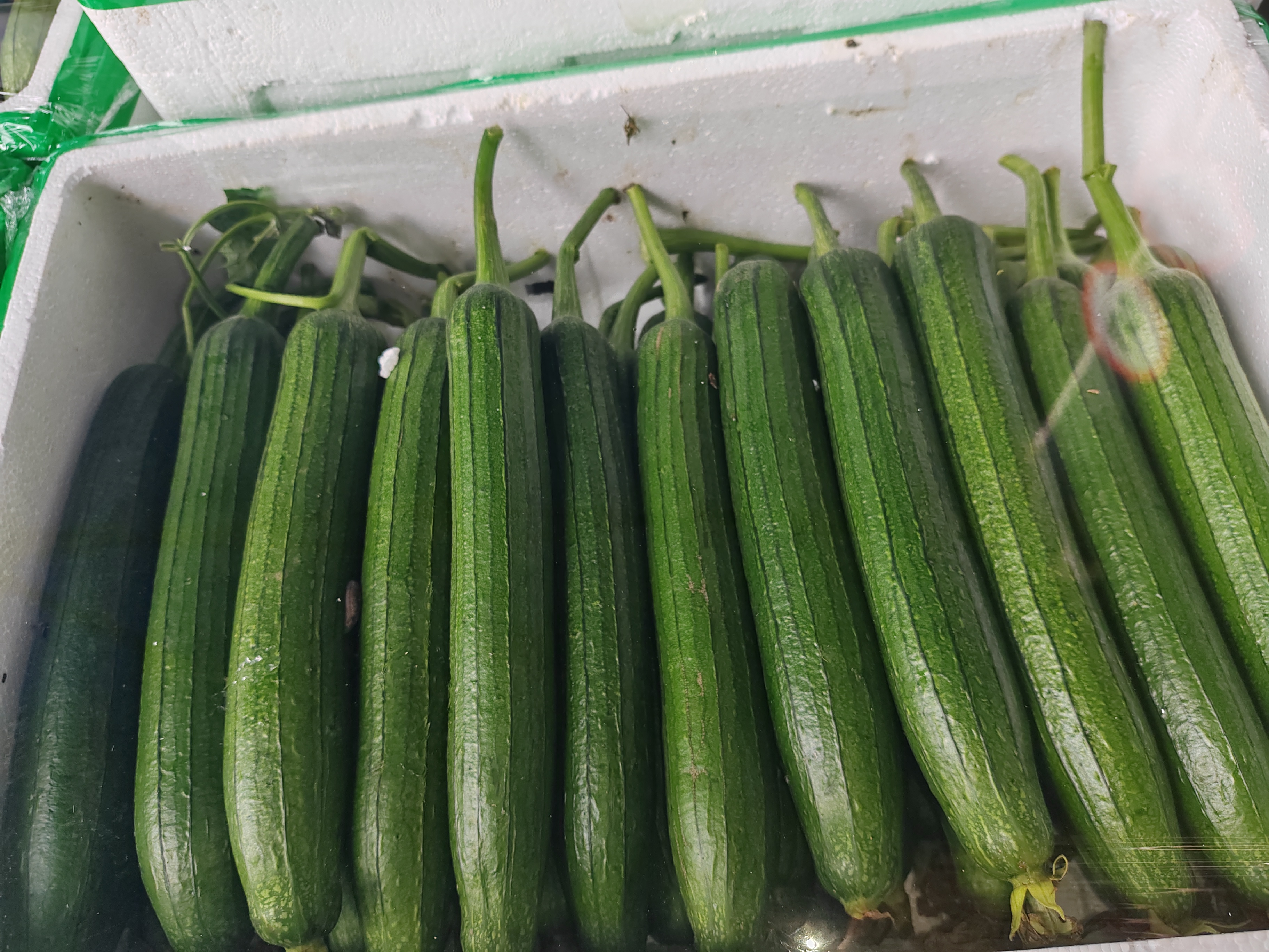 摆盘精美的丝瓜炒蛋和蒜蓉蒸丝瓜菜品,色泽鲜亮,诱人食欲 丝瓜家常菜展示图