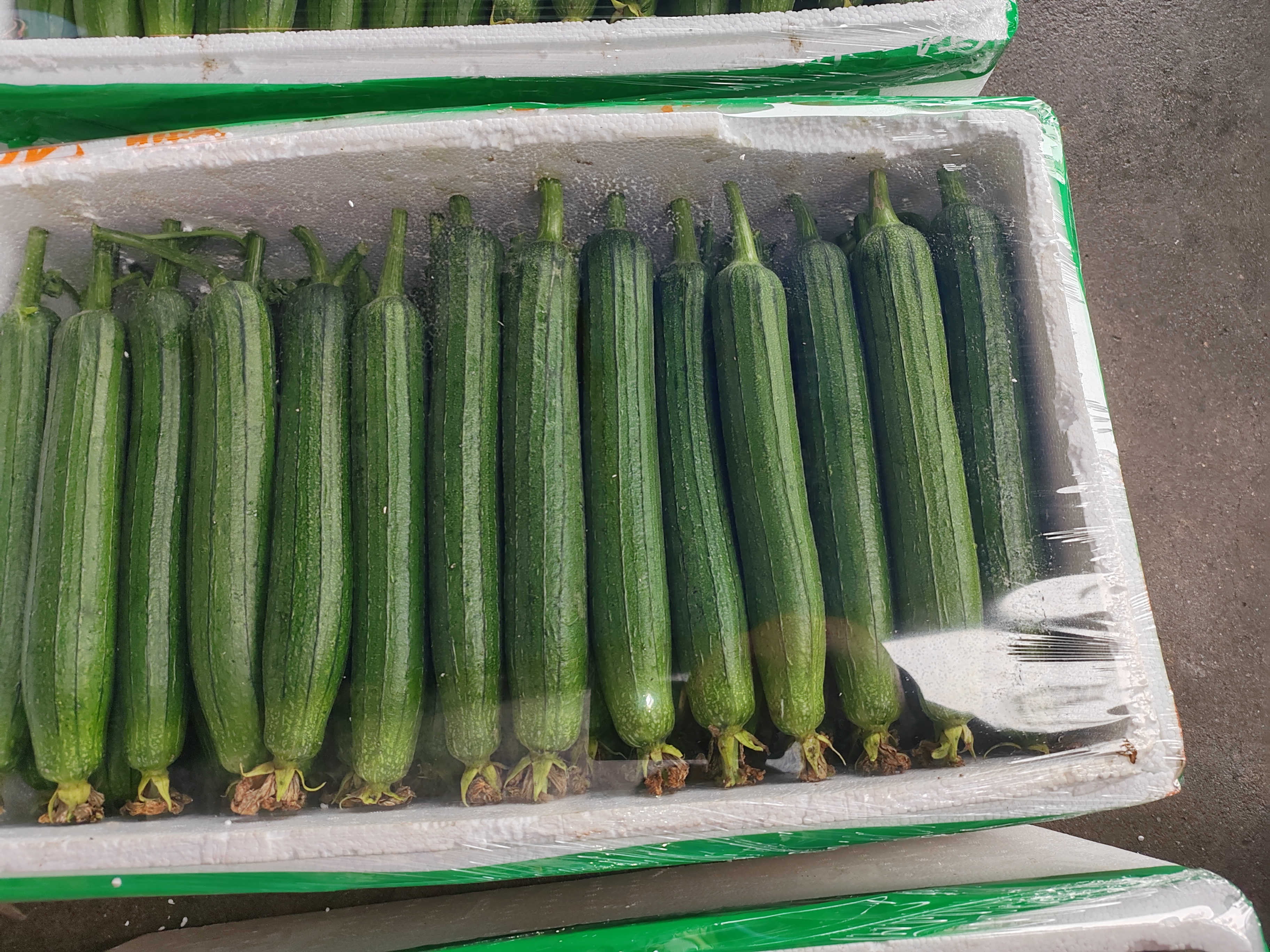 图片说明:丝瓜篓子在锅中煮沸的过程,水面泛起气泡,散发淡淡清香 丝瓜篓子煮水过程